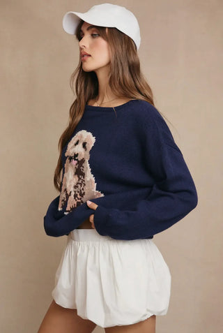 Goldendoodle Graphic Knit Sweater