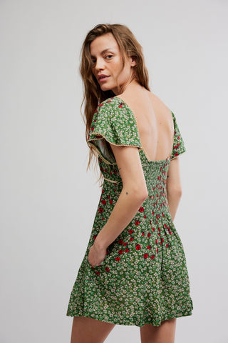 Backroads Mini / Forest Combo