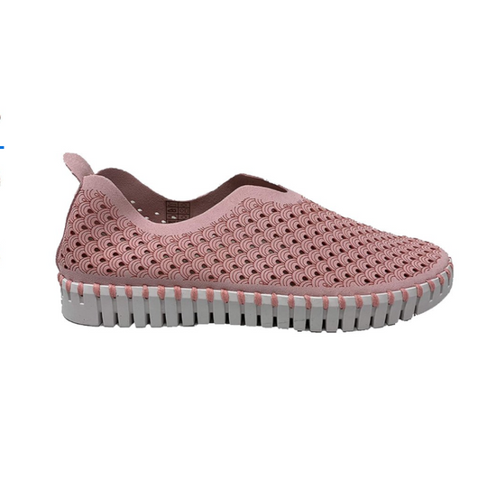 Tulip 140 Sneaker Ballerina