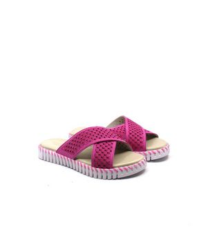 Tulip 1575 Sandal Rose Violet