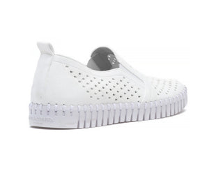 Tulip 140 Sneaker White