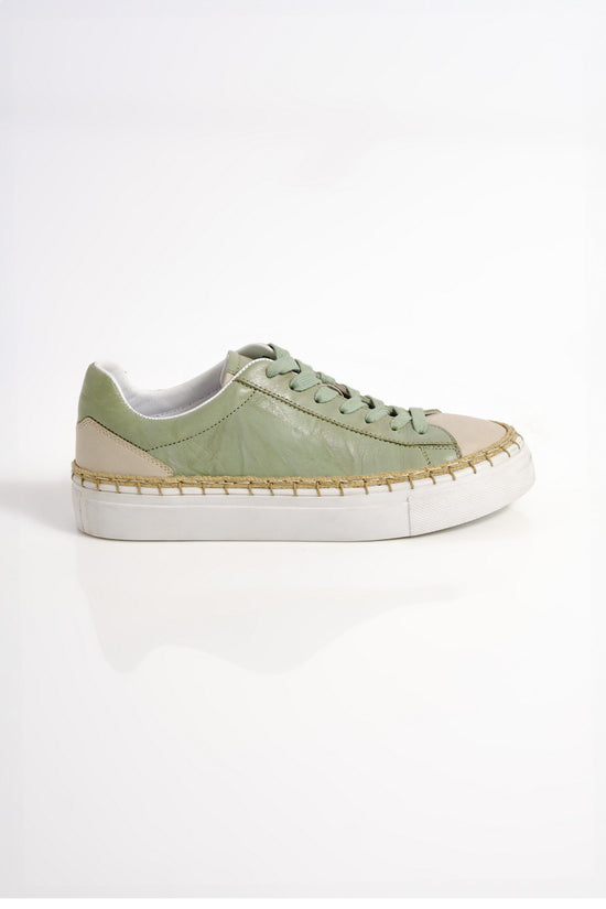 Scotty Sneaker / Light Sage