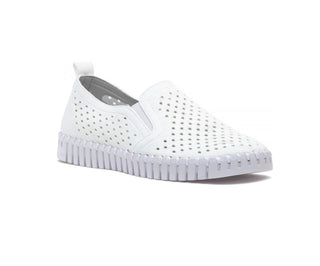 Tulip 140 Sneaker White