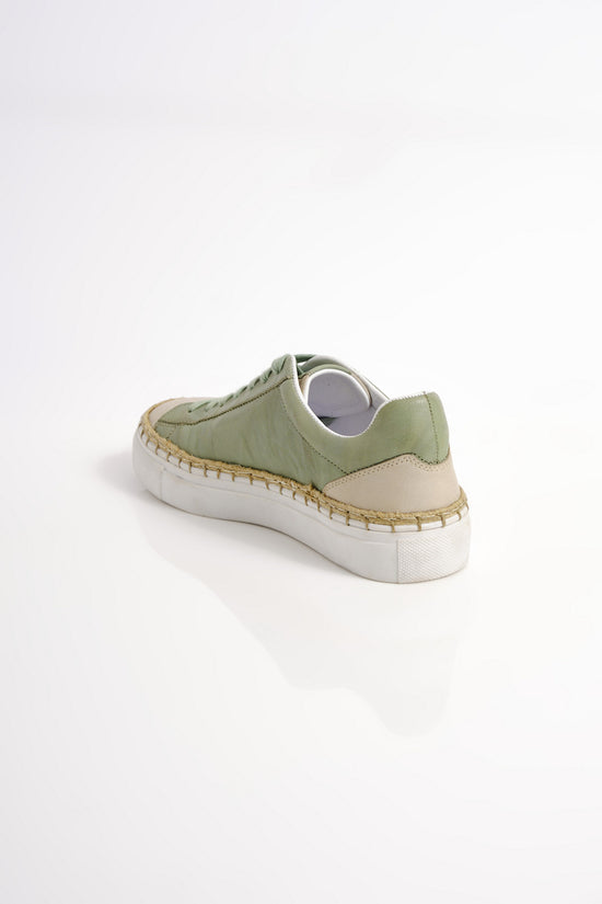 Scotty Sneaker / Light Sage